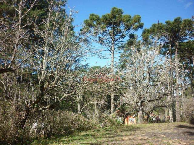 Terreno à venda, 9565 m² por R$ 3.150.000,00 - Jardim Belvedere - Campos do Jordão/SP