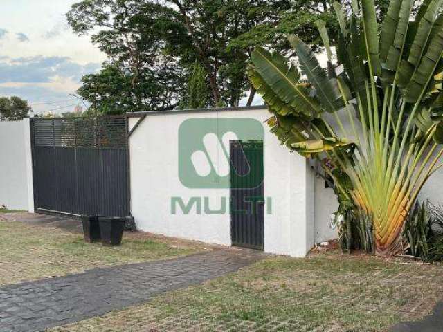 Casa com 4 quartos para alugar na Cidade Jardim, Uberlândia  por R$ 8.000