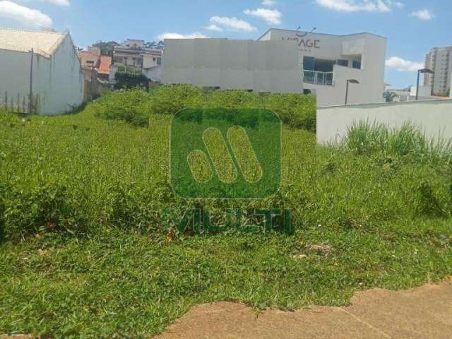 Terreno comercial à venda no Vigilato Pereira, Uberlândia  por R$ 5.000.000