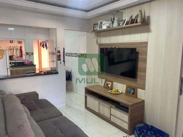 Casa em condomínio fechado com 3 quartos à venda no Terra Nova Uberlândia 3, Uberlândia  por R$ 420.000