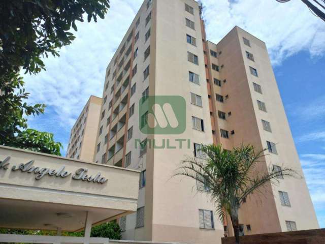 Apartamento com 3 quartos para alugar no Martins, Uberlândia  por R$ 1.500