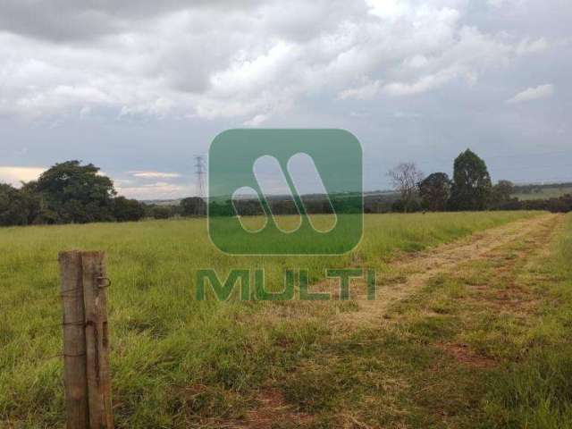 Terreno comercial para alugar na Área Rural de Uberlândia, Uberlândia  por R$ 5.000