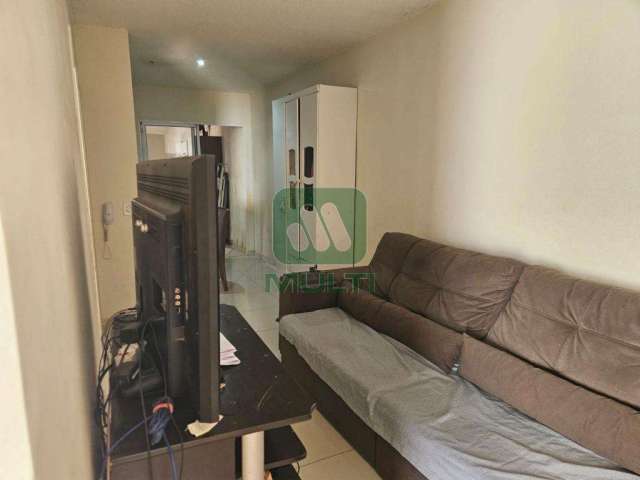 Casa em condomínio fechado com 3 quartos à venda na Terra Nova Uberlândia 2, Uberlândia  por R$ 350.000