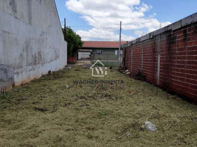 Venda ou troca Meio Terreno por carro ou caminhonete, Próximo a Av. Mandacaru no Jardim Rebouças, M