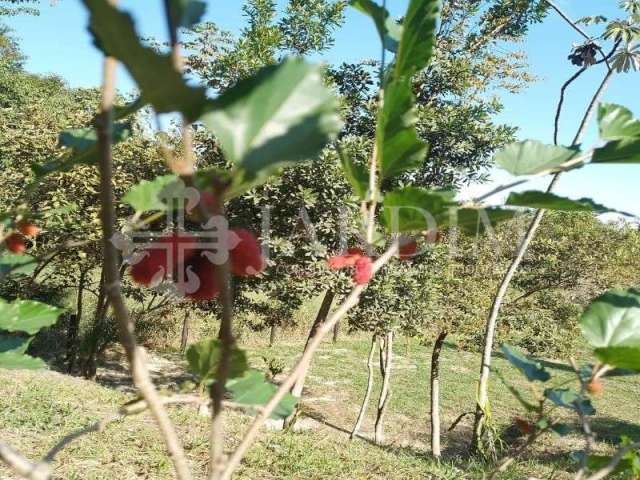 Terreno para chacara com arvores frutiferas