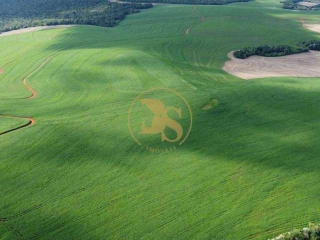 Fazenda com 690 alqueires em Campo Bonito PR