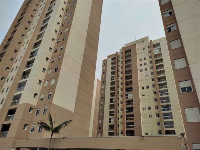 Apartamento com 3 quartos à venda em Bairro Pau Preto - SP