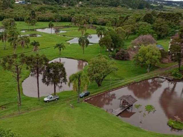 Chácara com 3 dormitórios à venda, 79004 m² por R$ 4.000.000,00 - Ferraria - Campo Largo/PR