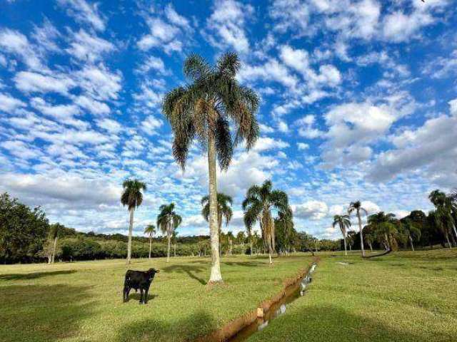 Chacara a venda 79.004 m2 - ferraria campo largo