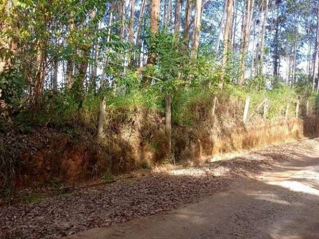 Terreno para Venda em Nova Friburgo, BRAUNES