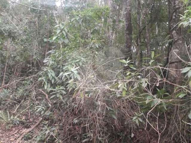 Terreno à venda em Suasalito - SP