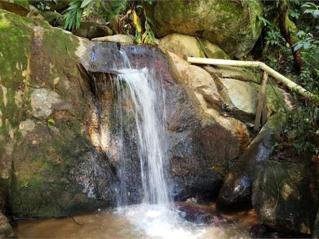 Sítio com 4 quartos à venda em Parque Petrópolis - SP