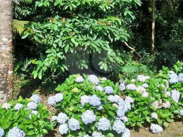 Terreno à venda em Roseira - SP