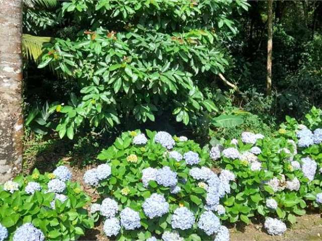 Terreno à venda em Roseira - SP