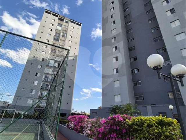 Apartamento com 3 quartos à venda em Vila Celeste - SP