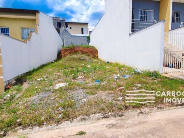 Terreno a Venda no Borda do Campo em Caçapava