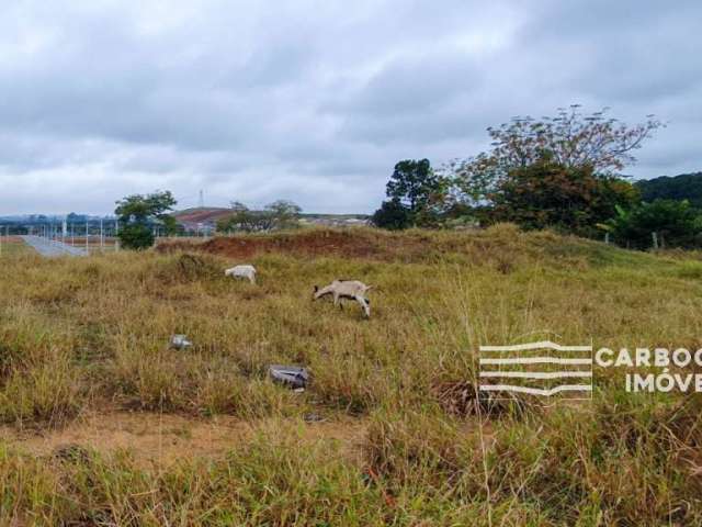 Terreno a Venda no Jardim Panorama em Caçapava