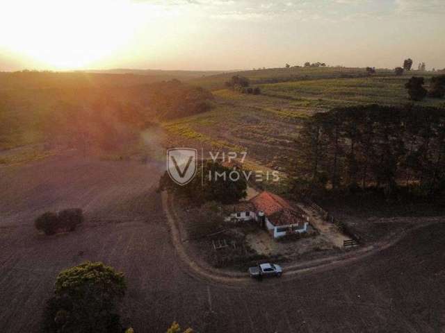 Fazenda / Sítio para venda em Distrito do Porto de 301048.00m² com 3 Quartos