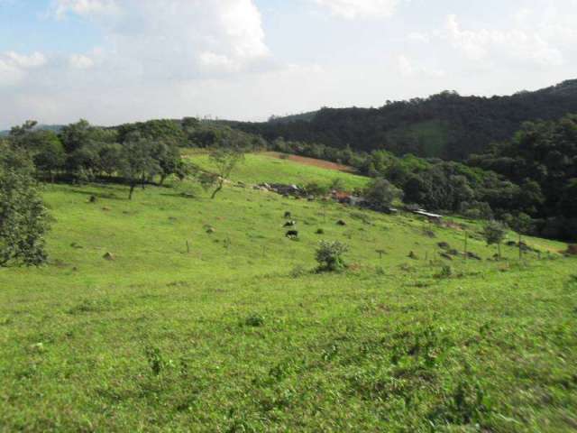 Fazenda / Sítio para venda em Chácara Terra Nova de 176000.00m² com 1 Quarto e 10 Garagens