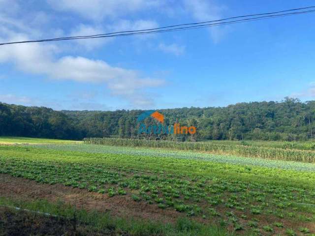 Terreno para venda em Vila Aparecida de 194153.00m²