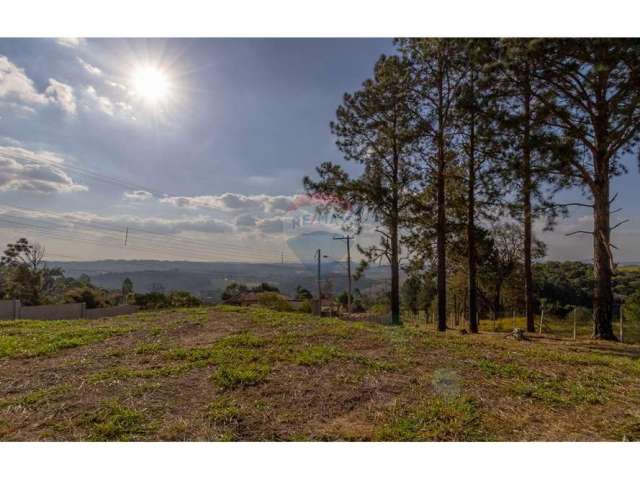 Terreno para venda em Vitória Régia de 728.00m²