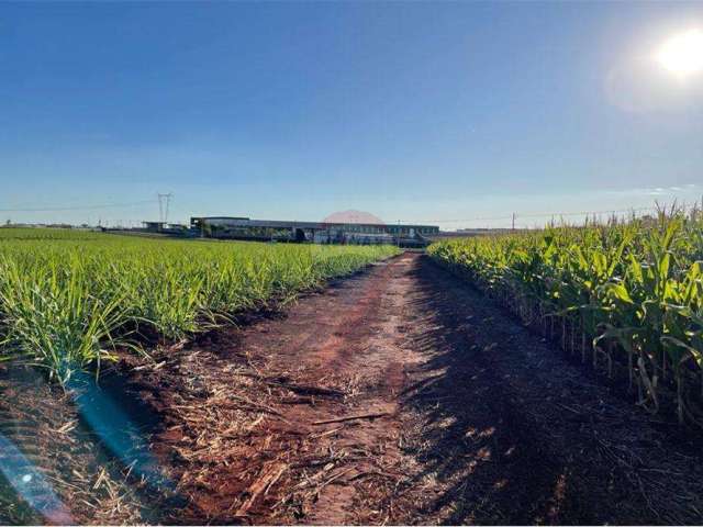 Terreno para venda em Jardinópolis de 70599.00m² com 1 Quarto, 1 Suite e 50 Garagens