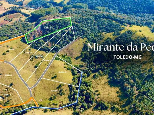 Terreno para venda em Toledo de 20000.00m²