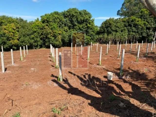 Fazenda / Sítio para venda em Vila Ipiranga de 200.00m² com 2 Quartos e 3 Garagens