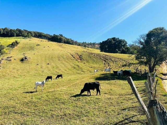 Terreno para venda em Toledo de 84700.00m²