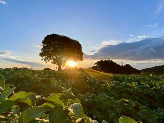 Terreno para venda em Toledo de 22000.00m²