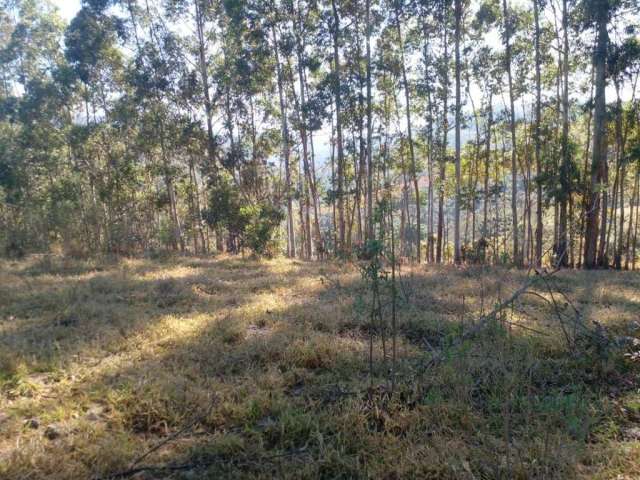 Terreno para venda em Toledo de 24200.00m²