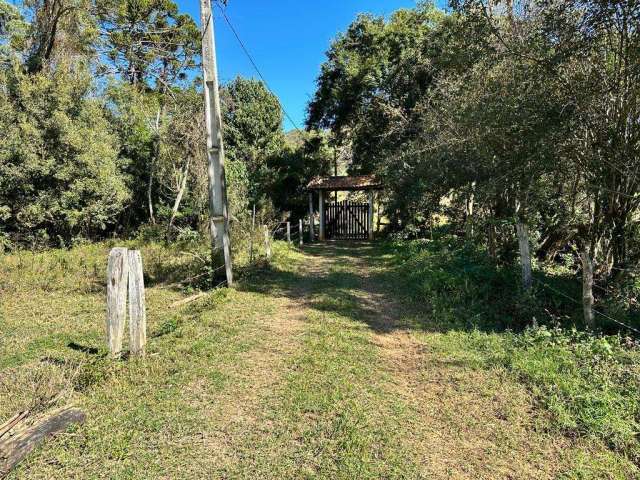 Fazenda / Sítio para venda em Toledo de 12000.00m² com 2 Quartos