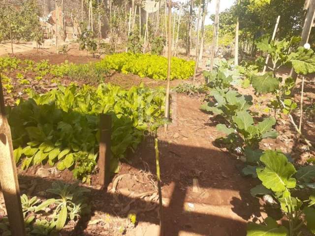 Terreno para venda em Residencial Porto Seguro de 222.00m²