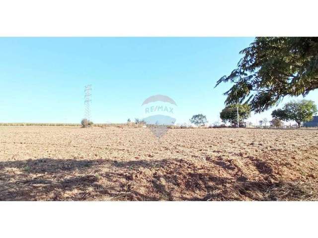 Terreno para venda em Chácara Ouro Preto de 20000.00m²