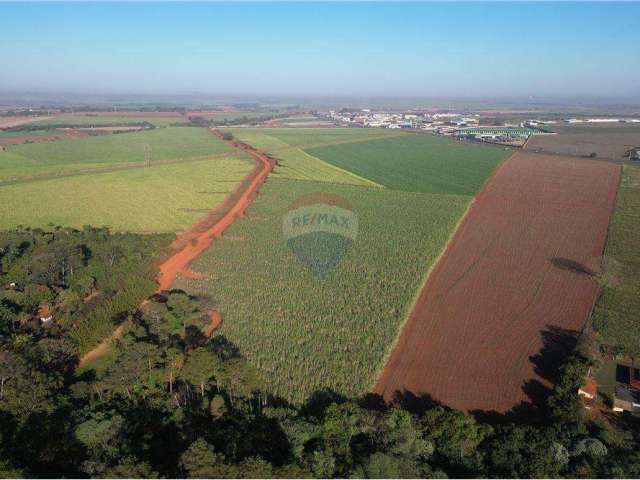 Lote / Terreno para venda em Jardinópolis de 288867.00m²