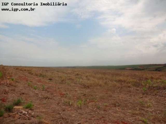 Terreno para venda em Centro de 2000.00m²