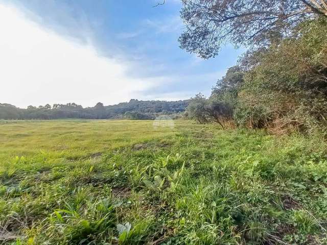 Lote / Terreno para venda em Campo Largo Da Roseira de 34570.00m²