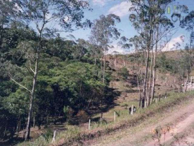 Terreno para venda em Represa de 8080.00m²