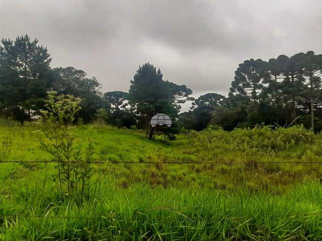 Terreno para venda em Paloma de 9400.00m²