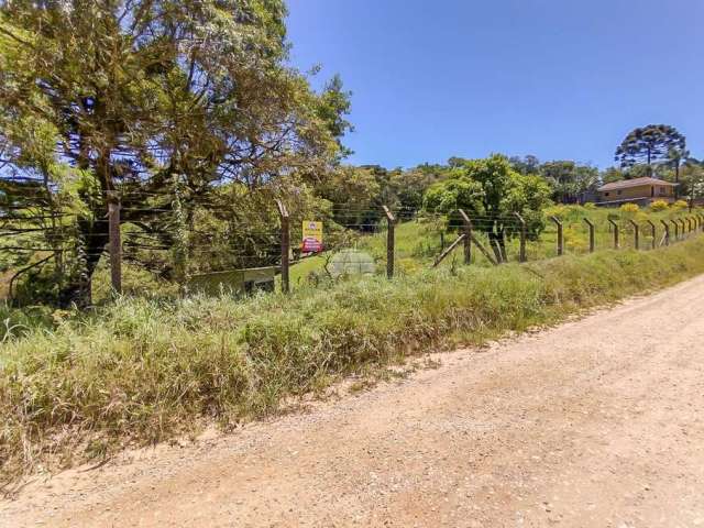 Terreno para venda em Centro de 4223.00m²