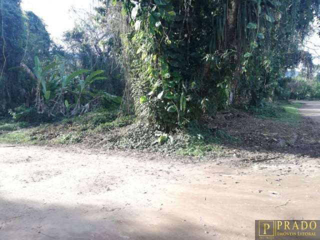 Terreno em Itamambuca à 100m da praia! 540m² cercado de muito verde e tranquilidade na praia mais famosa de Ubatuba!