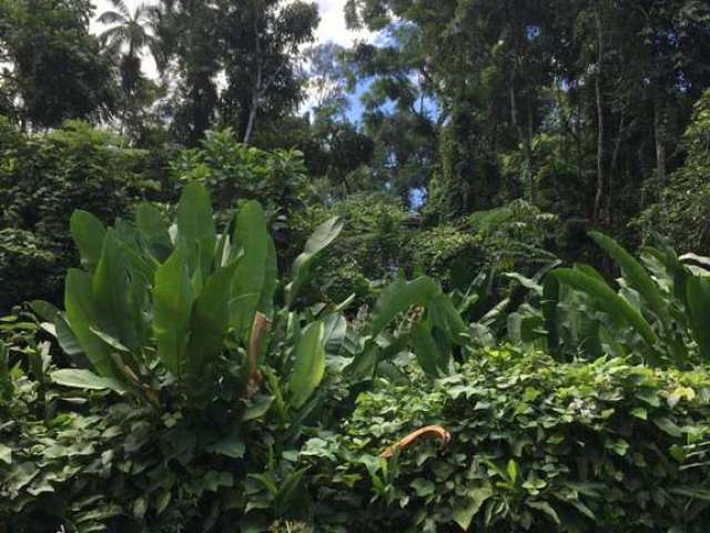 Terreno no condomínio de Itamambuca.