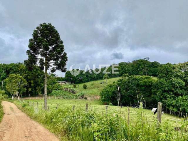 Chácara à venda 3 Alqueires e 907,50 m² Areia Branca Dos Assis, Mandirituba, PR