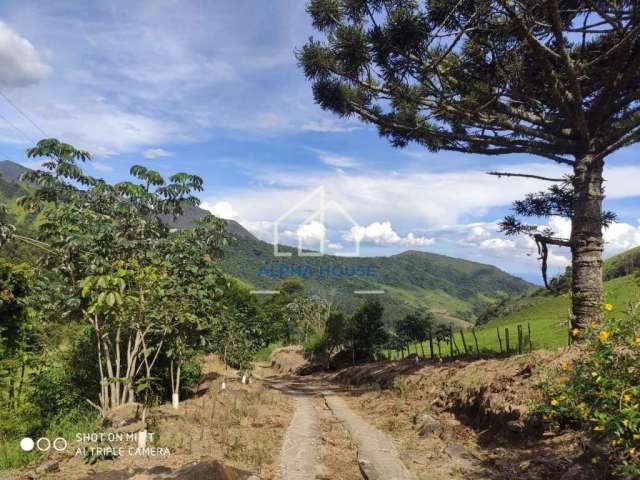 Ótimo Sítio a venda no  bairro dos Marins, na cidade de Piquete-SP! Com 877.135 m2