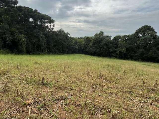 IMPERDÍVEL - Chácara de 43.000m² á venda em Araucária: Natureza e Proximidade Urbana por R$495k!