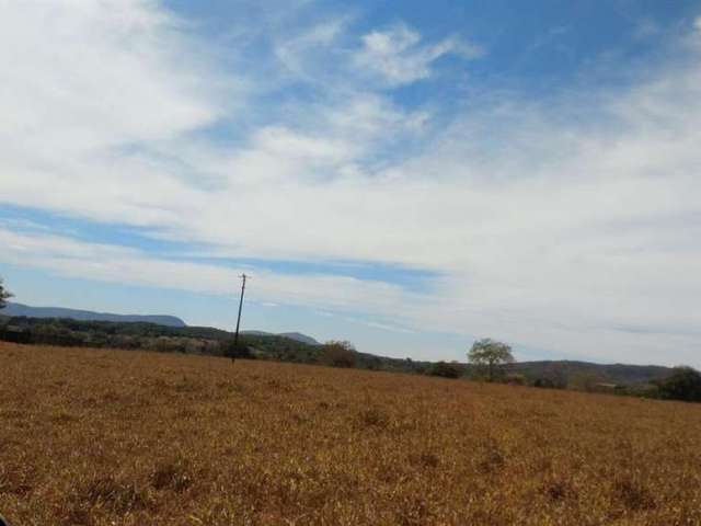 Venda de fazenda em Jaraguá: 232 hectares (48 alqueires), dupla aptidão