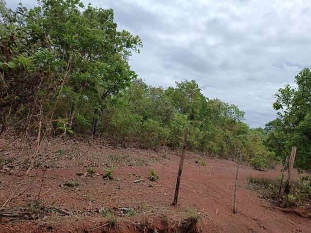 Área rural 58.20 hectares - Chapéu do Sol - codigo: 89701