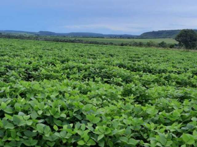 Fazenda 10 alqueires  (48,40 Hectares)