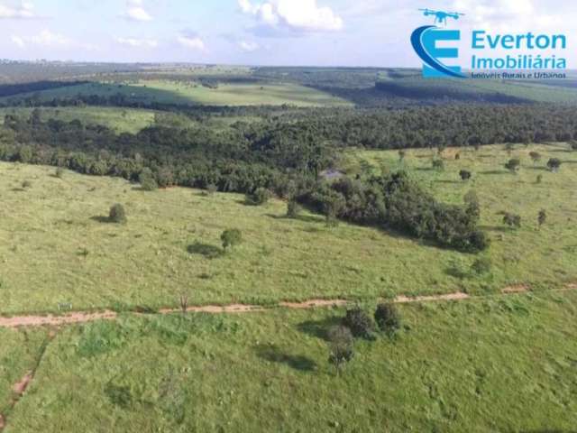 Oportunidade pra você ter seu Imóvel Rural! Chácara em Uberlândia - MG com 20.000 m²;