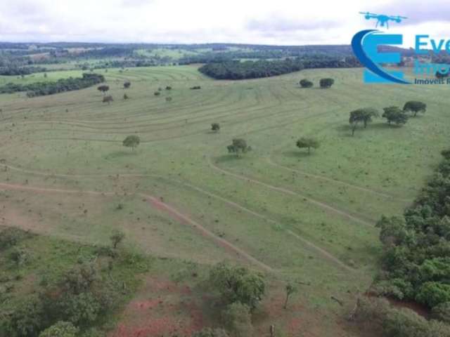 Fazenda em Uberlândia - MG com 31,84 alqueires ou 154,13 hectares;